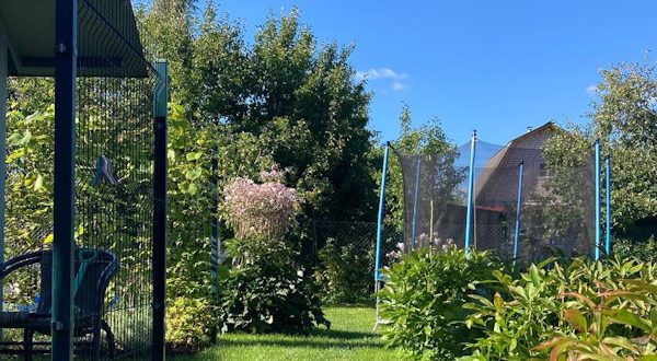 О товариществе