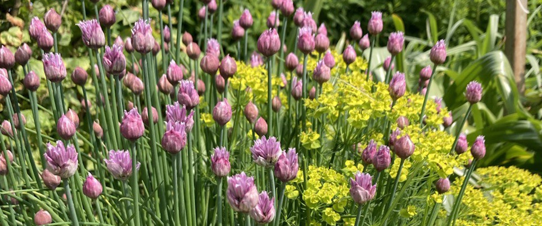 СТ «Радуга» ст.Вязынка