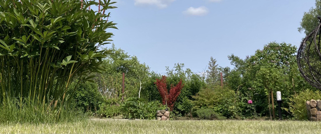 СТ «Радуга» ст.Вязынка.