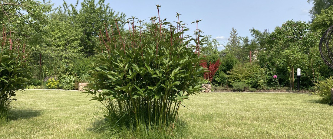 СТ «Радуга» ст.Вязынка